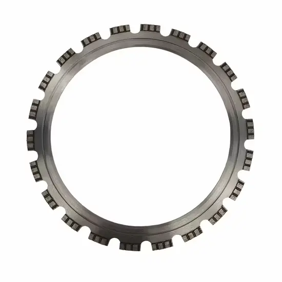 [SP100019-05] Ring Wall Replacement Parts Price 150$